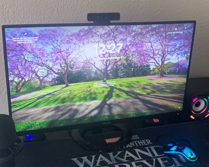 27” 165 Hz Asus Monitor