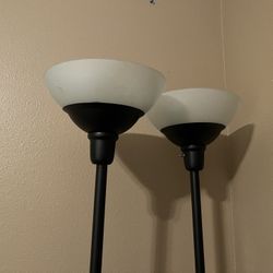 Black Maxlite Lamps
