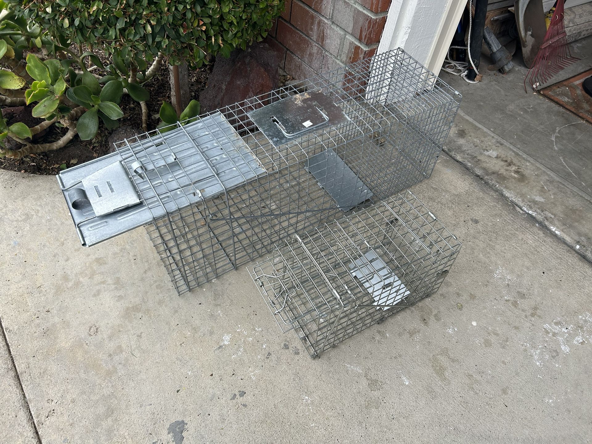 Live Animal Traps for Sale in Diamond Bar, CA OfferUp