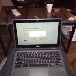 dell Chromebook 3100