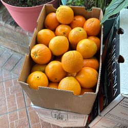 Box of orange