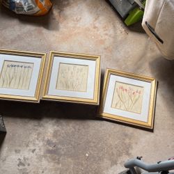 Gold Frame Floral Matted Prints 
