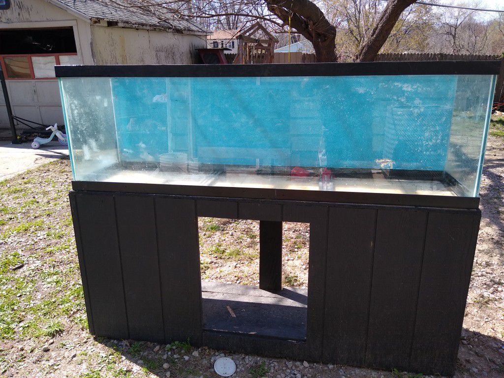 Fish tank and accesories in ecxellent condition all for 400