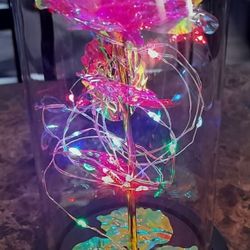 Modern Expressions Galaxy Rose / Enchanted Rose