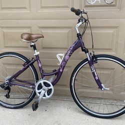 Track hybrid bike