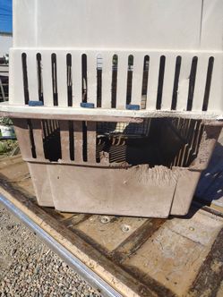 Large Plastic Pet Travel Crate