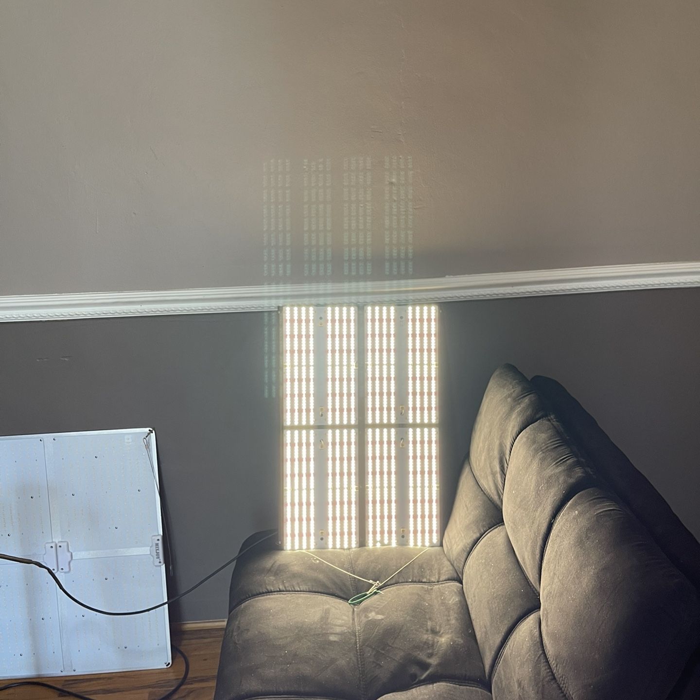 Grow Light