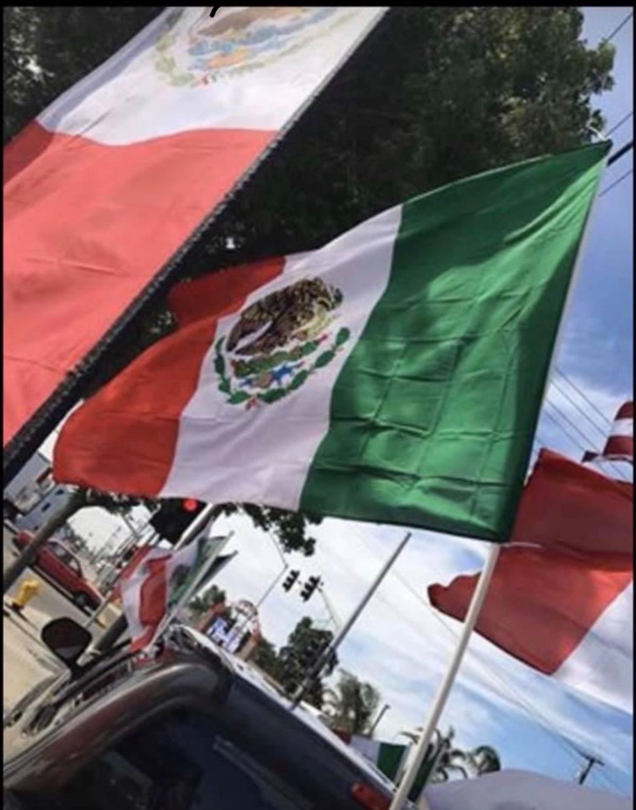 Banderas De México /mexico Flags 