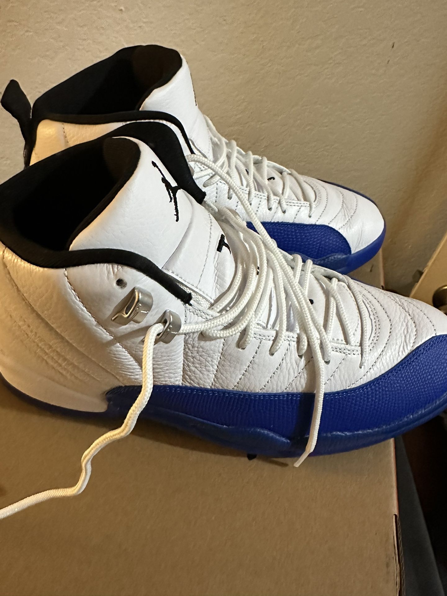 Air Jordan 12 “blueberry” Size 11