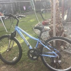 Mountain bike low low price