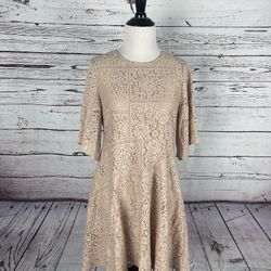 Zara Basic Collection Pink Lace A Line Dress Size Small 3/4 Sleeve Solid