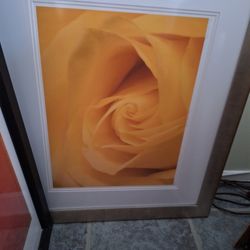 Yellow Rose Framed
