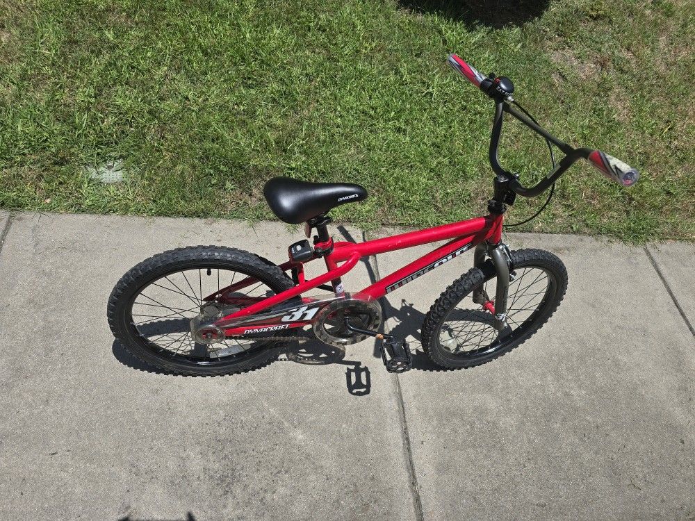 20" Young Kids Bicycle