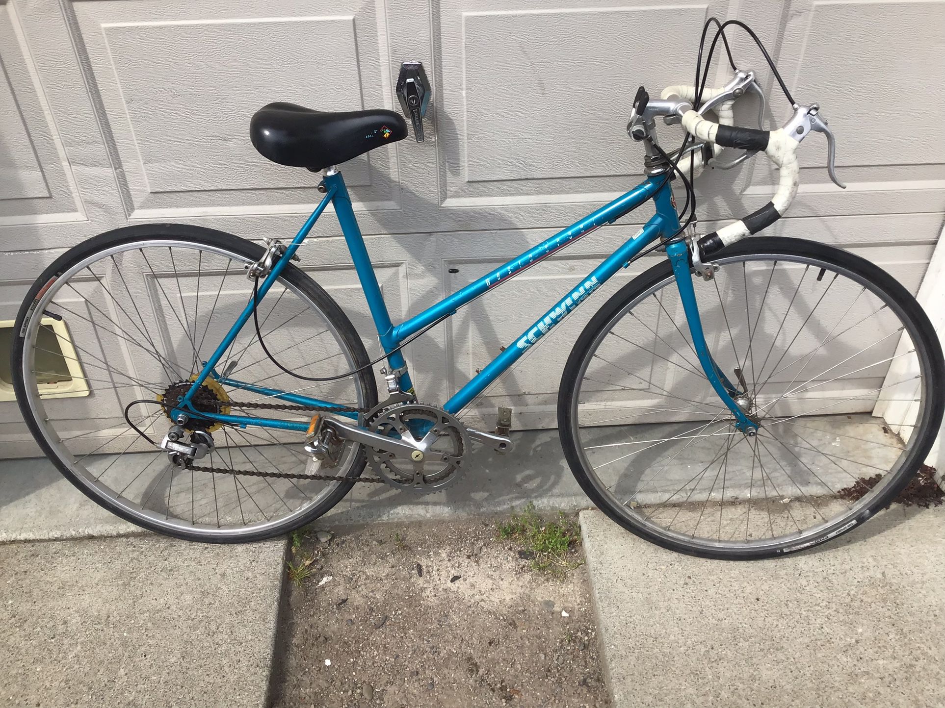 Schwinn World Sport 20” Frame