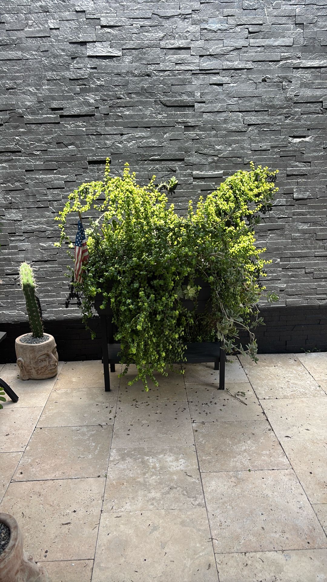 PLANTER FOR SALE W/ PLANT SUCCULENTS