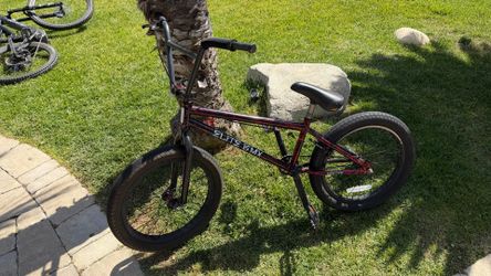 Elite BMX Bike