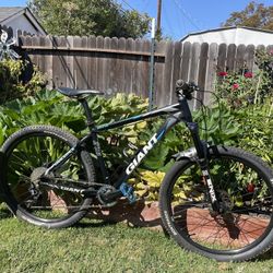 Trek and Giant Mountain Bikes