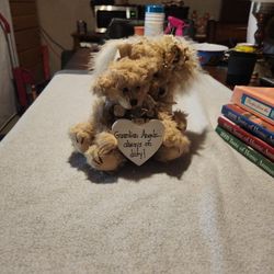 Guardian Angel Bears Band Designs