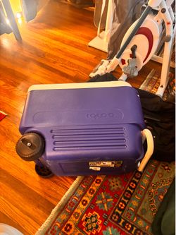 Igloo cooler “holds up to 53 12oz cans”