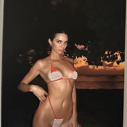 Brand New Canvas Print - Kendall Jenner 40x30 Inches