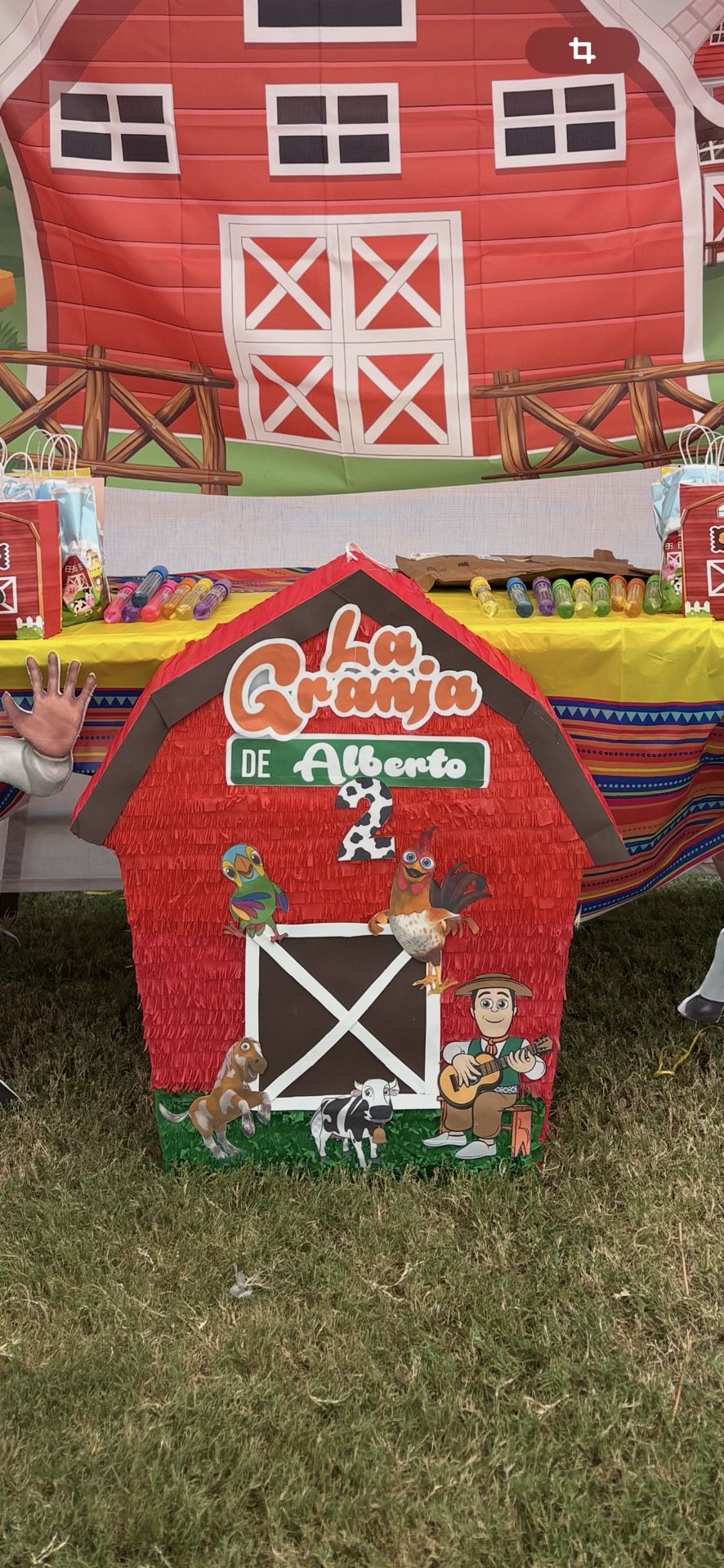 Piñata Granja