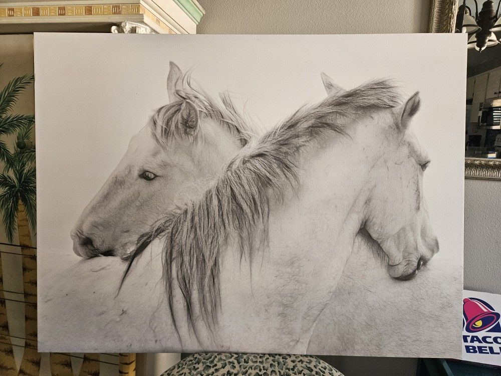 Horses Canvas