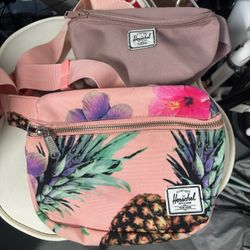 2 Hershel Bags $20