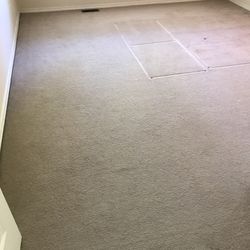 Free Carpet And Under Carpet