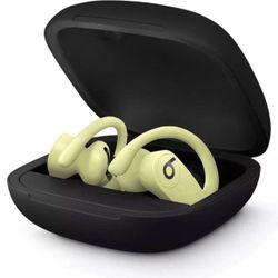 Beats by Dr. Dre Powerbeats Pro Totally Wireless Earphones 