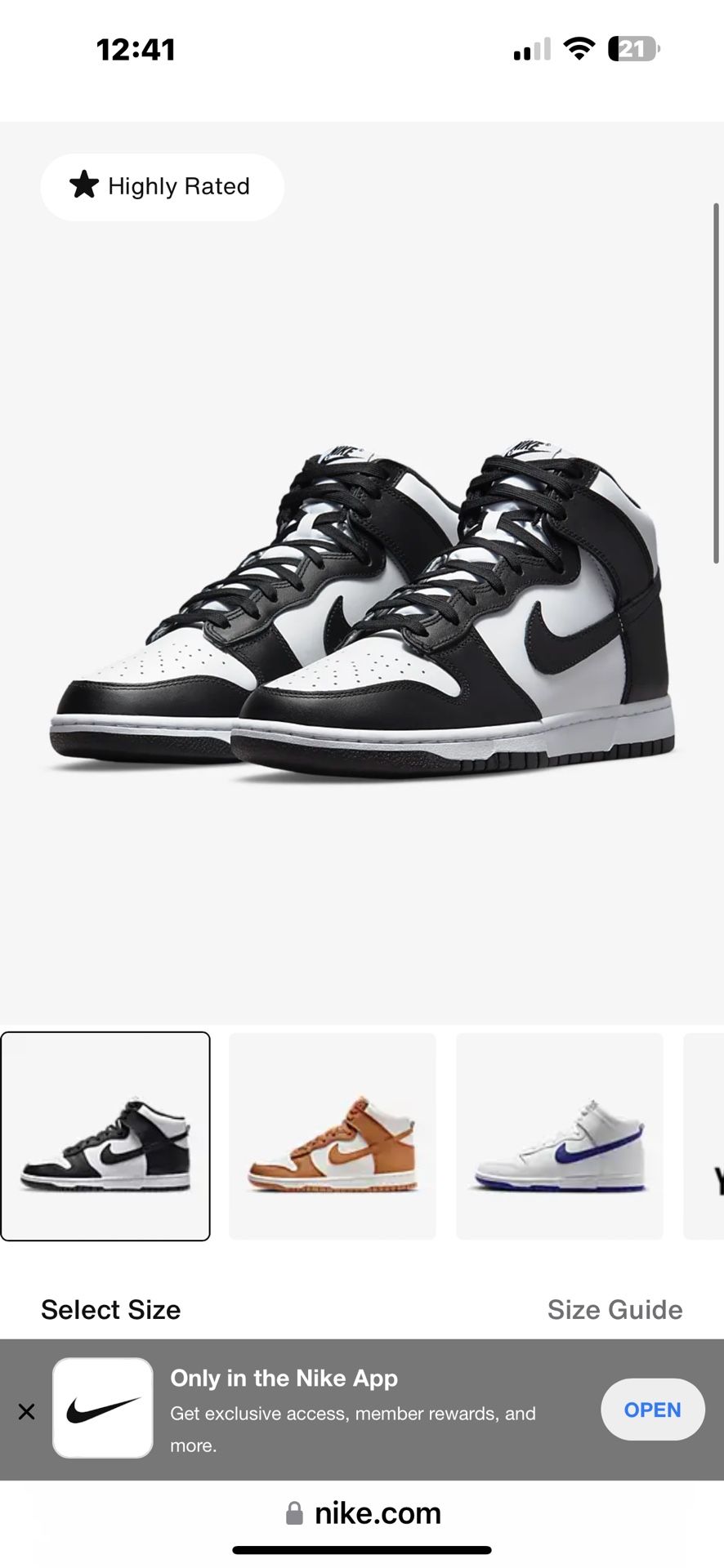 Nike Dunk High Retro 9 Men 