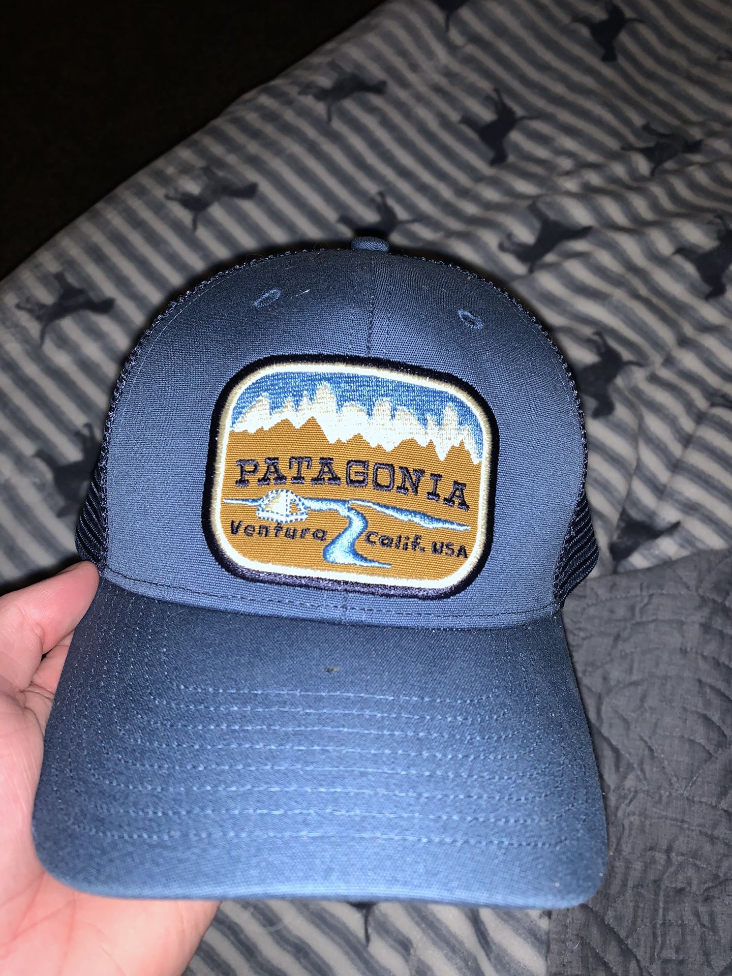 Patagonia hat