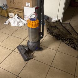Dyson Animal Ball