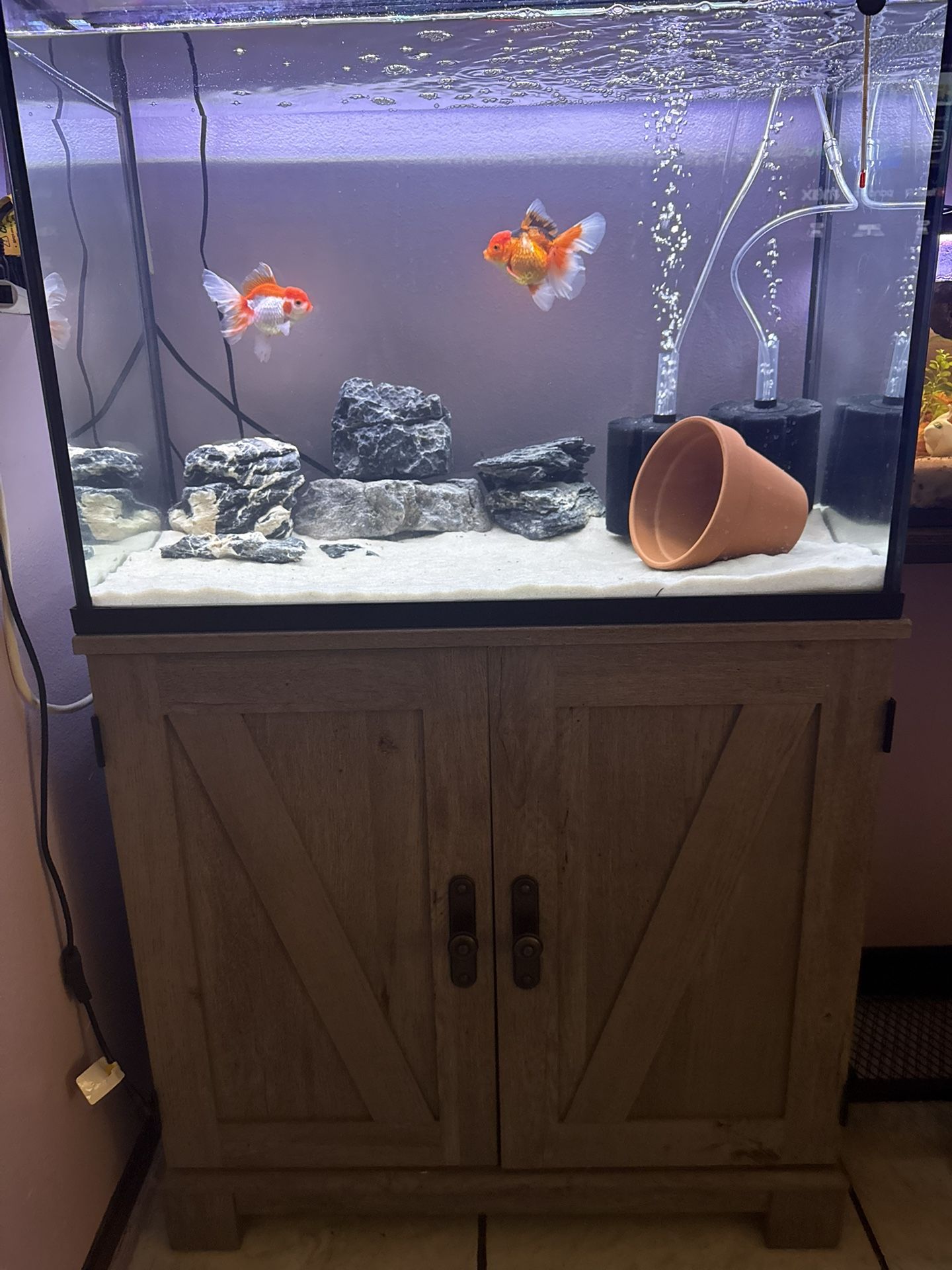 37 Gallon Fish Tank W / Stand 