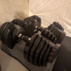 2 Bowflex Adjustable Dumbbells 52.5 lbs