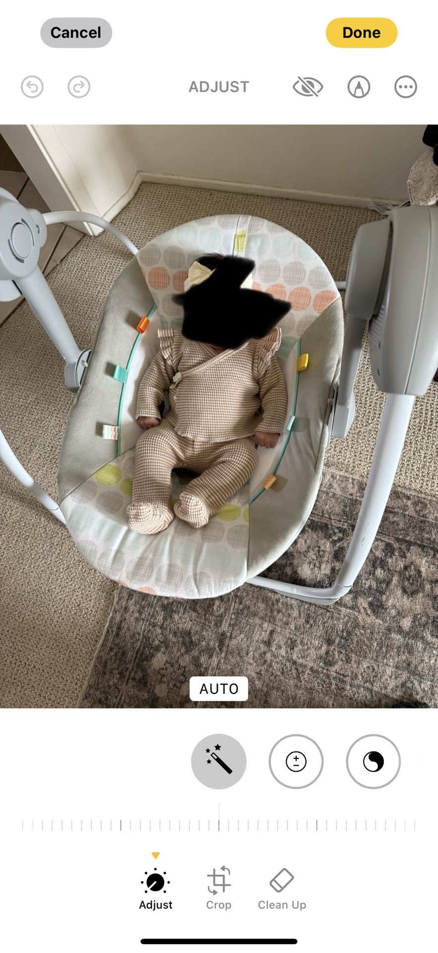 Baby Swing