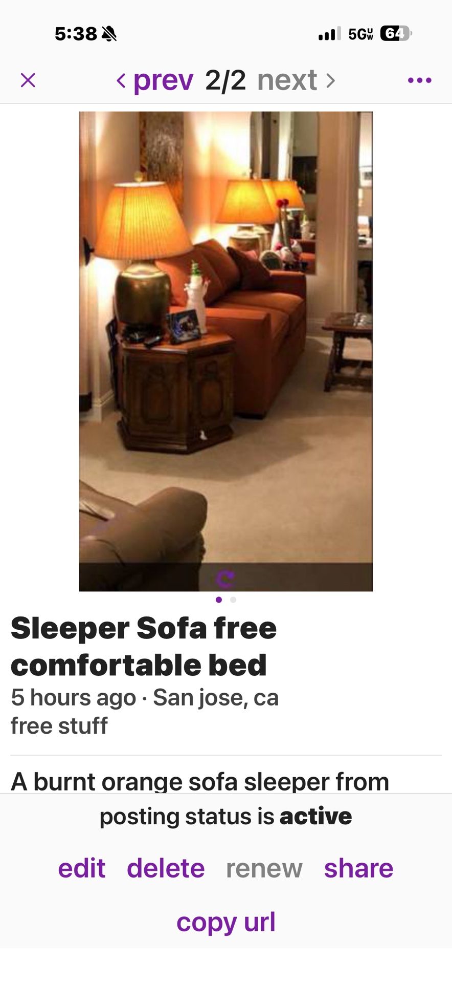Sleeper Sofa. Comfortable Bed