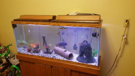 Haven’t been used in 2 years 2 55 gallon tanks make an offer