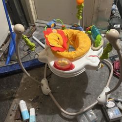 Baby Bouncer