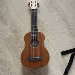 Ukulele Set