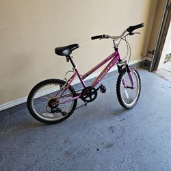 Lil Girl Bike 