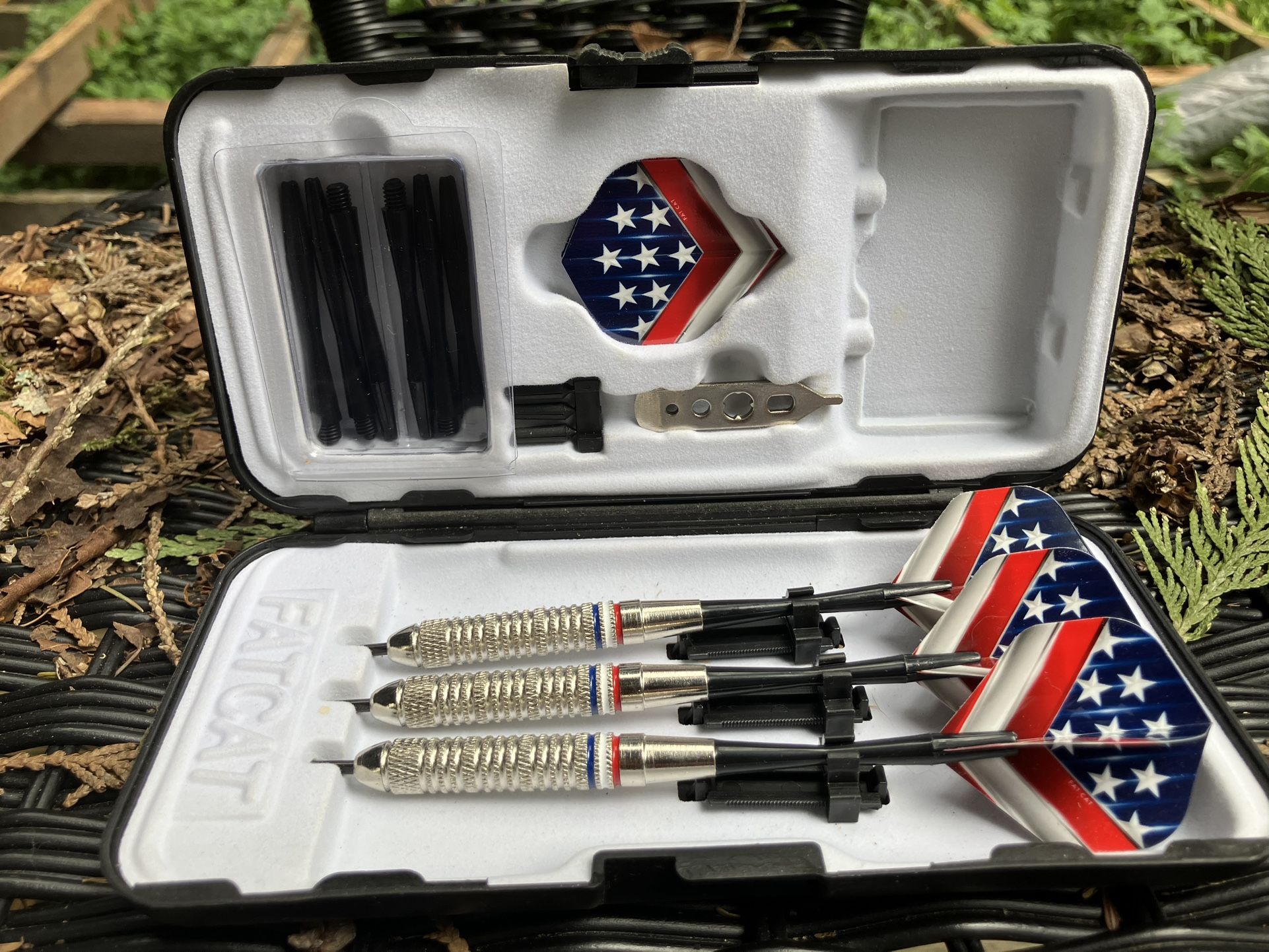 Steel Tip Darts with Storage/Case