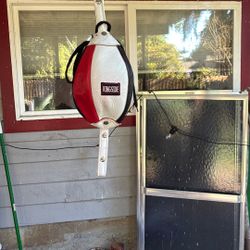 Ringside Boxing Double End Bag