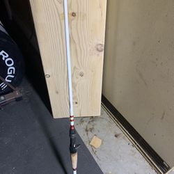 Duckett Micro Magic Pro Bait casting Rod