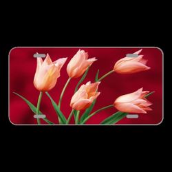 License Plate Novelty Car Front Tulips Garden Plant Vase Birthday