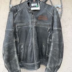 Harley Davidson Leather Jacket