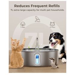 Dog Water Fountain