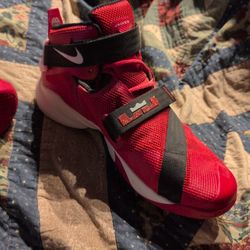 Lebron James Vintage Nike Zoom 3 Pairs