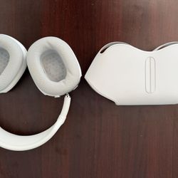 Apple Max Headphones