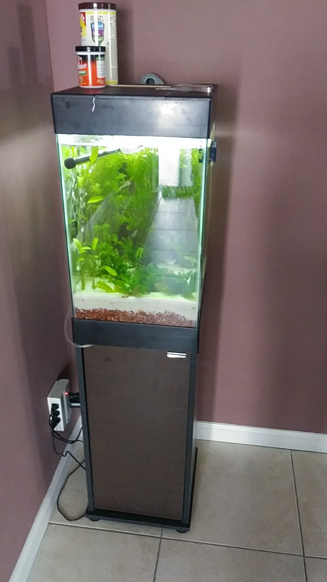15 gallon tall aquarium