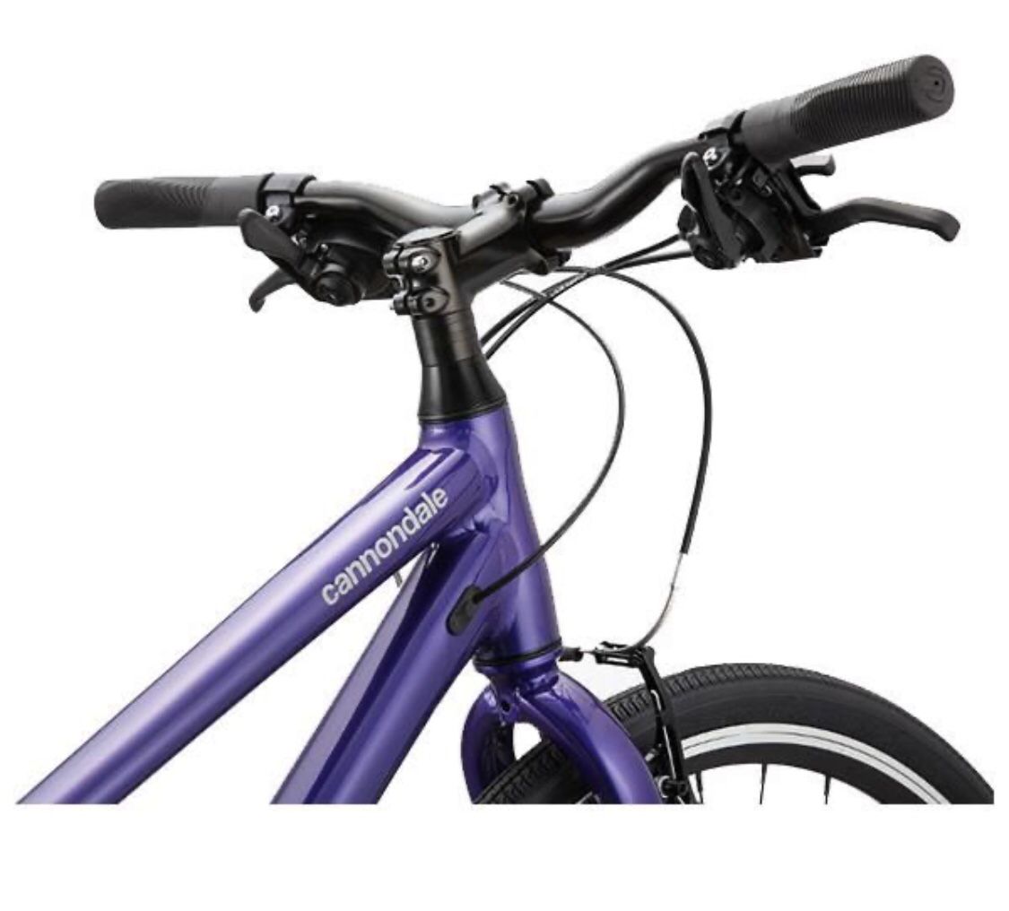 Bike :Cannondale Women’s Bike Quick 6 Remixte 20